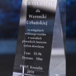 Zdjęcie produktu Winner - grawerowana szklana statuetka z personalizacją dla zwycięzcy