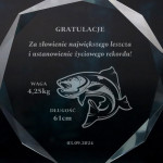 Zdjęcie produktu Ryba - grawerowana statuetka z personalizacją dla wędkarza