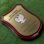 Zdjęcie produktu Dyplom Tarcza - Podziękowanie dla wojskowego