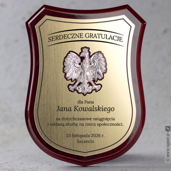 Dyplom Tarcza - Podziękowanie dla urzędnika