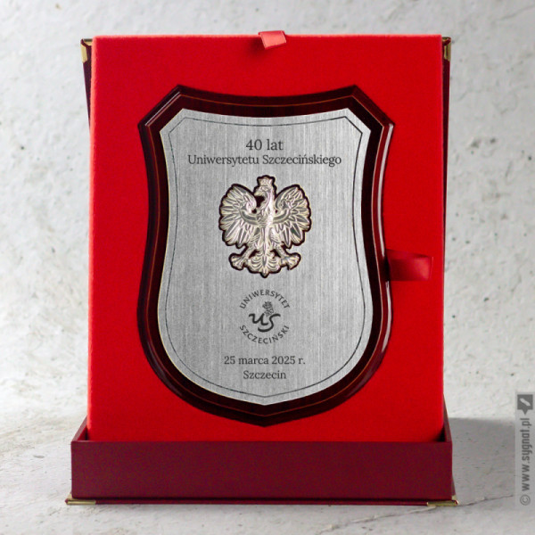 Dyplom Tarcza - Podziękowanie dla instytucji